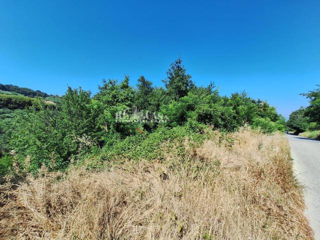 Terreno in vendita a Ponterotto, Marche