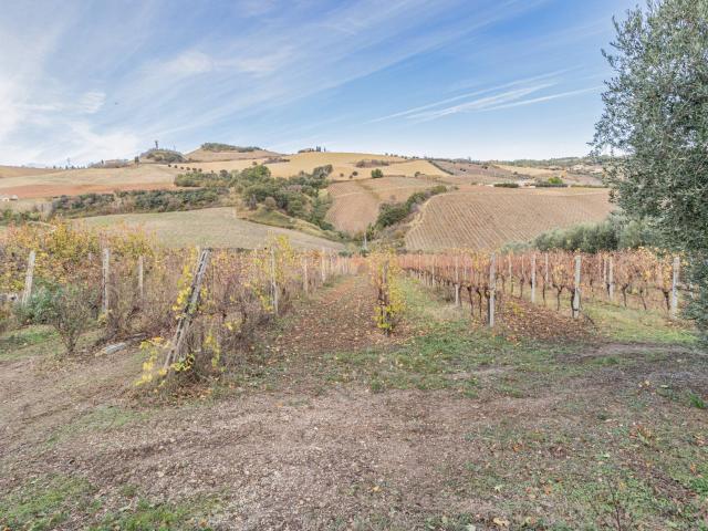 Terreno in vendita a Ponterotto, Marche