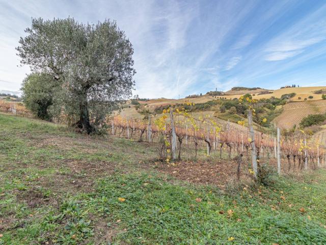 Terreno in vendita a Ponterotto, Marche