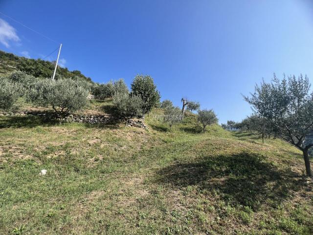 Terreno in vendita a Adrara San Rocco, Lombardia