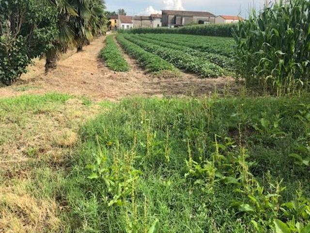 Terreno in vendita a Adria, Veneto