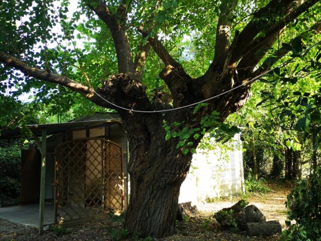 Terreno in vendita a Marche, Ancona