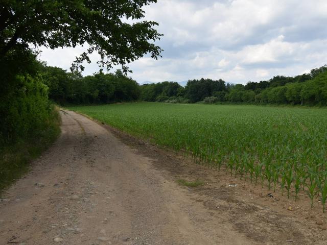 Terreno in vendita a Aicurzio, Lombardia