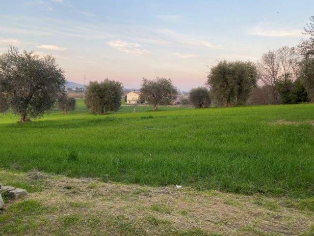Terreno in vendita a Unione dei Comuni della Val Vibrata, Alba Adriatica