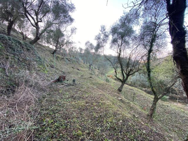 Terreno in vendita a Bastia, Albenga