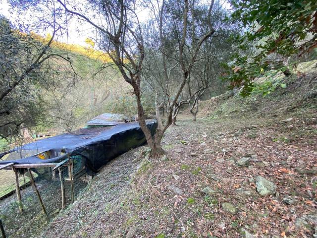 Terreno in vendita a Bastia, Albenga