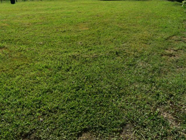 Terreno in vendita a Albignasego