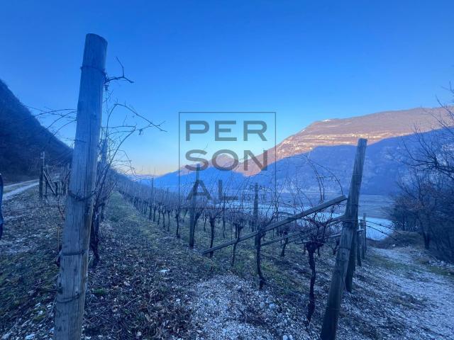 Terreno in vendita a Territorio Val d'Adige, Aldeno