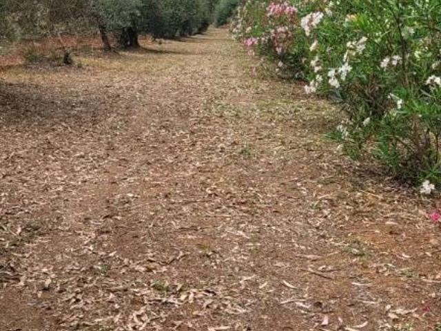 Terreno in vendita a Alghero, Sardigna/Sardegna