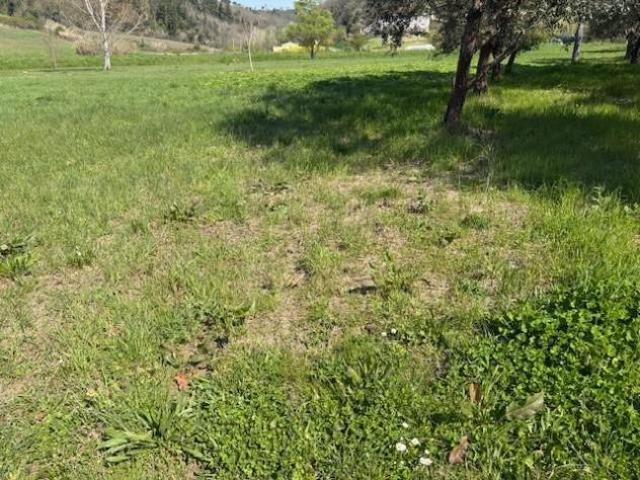 Terreno in vendita a Legoli, Toscana