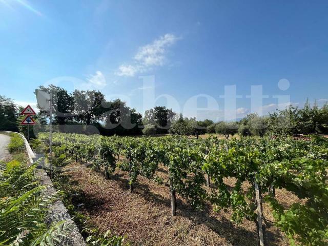 Terreno in vendita a Alife, Campania