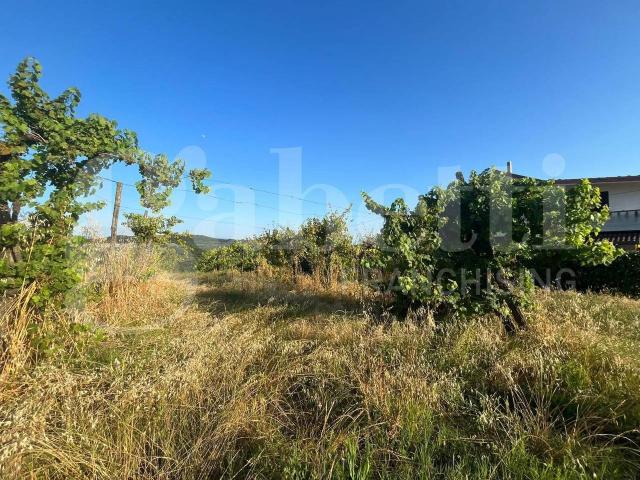 Terreno in vendita a Alife, Campania