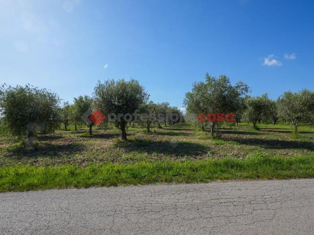 Terreno in vendita a Albanella, Campania