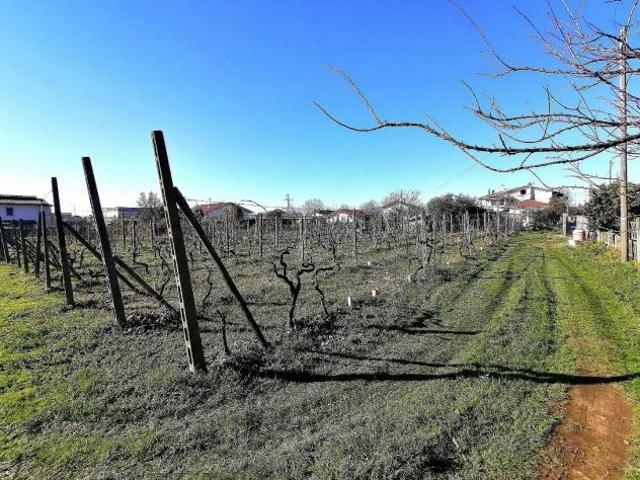Terreno in vendita a Marina Di Massa, Toscana