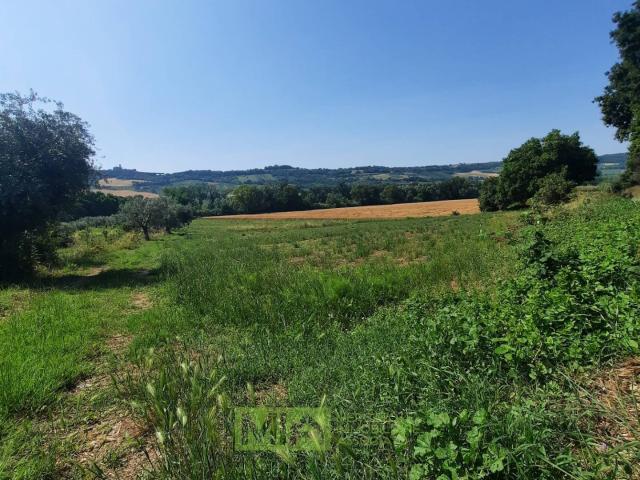 Terreno in vendita a Marche, Fermo