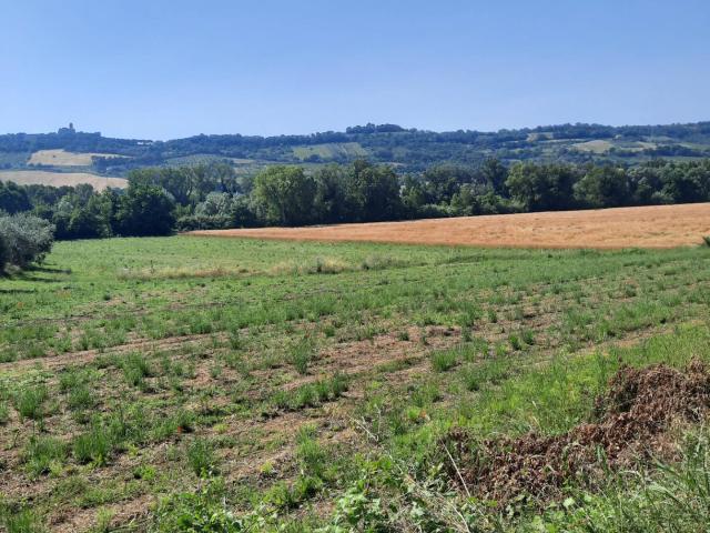 Terreno in vendita a Marche, Fermo
