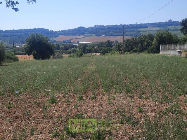 Terreno in vendita a Marche, Ascoli Piceno
