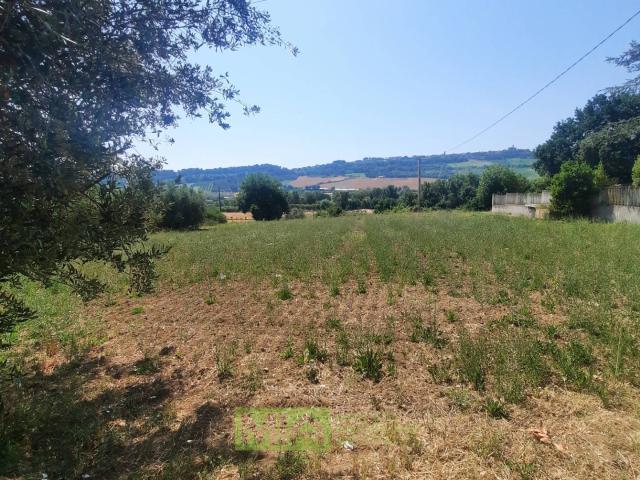 Terreno in vendita a Marche, Ascoli Piceno