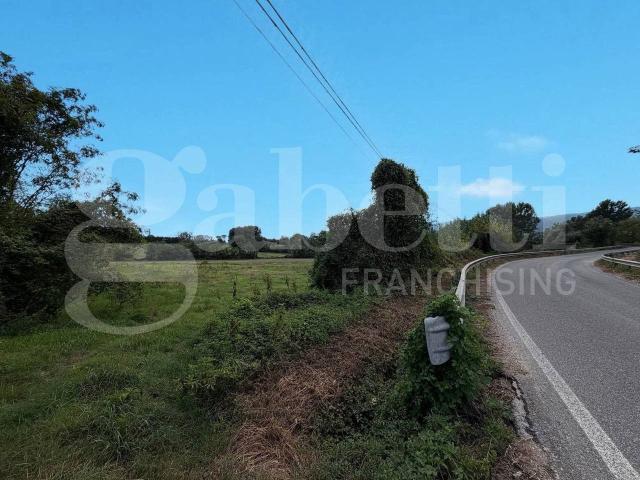 Terreno in vendita a Rasignano, Alvignano