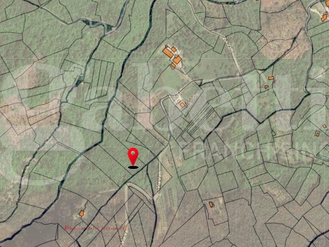 Terreno in vendita a Alvignano, Campania