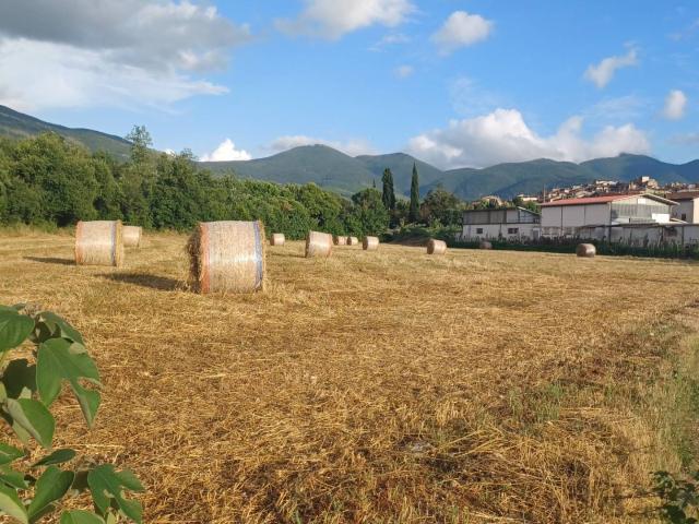 Terreno in vendita a Amaseno, Lazio