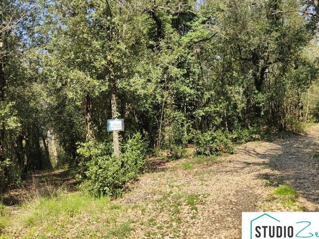 Terreno in vendita a Amelia, Umbria