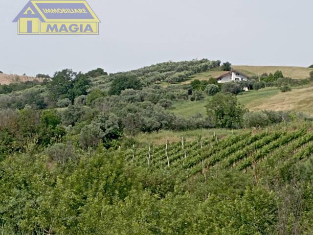 Terreno in vendita a Unione dei Comuni della Val Vibrata, Ancarano