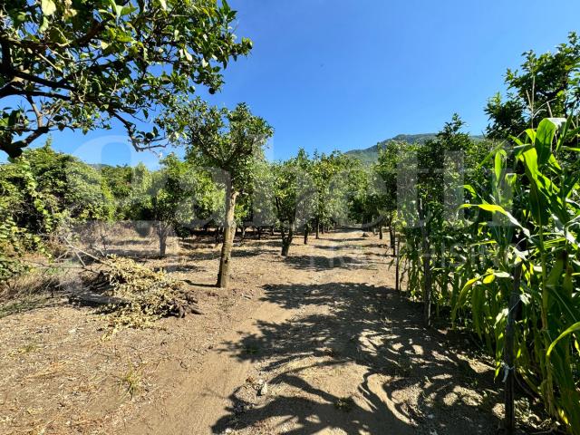 Terreno in vendita a Angri, Campania