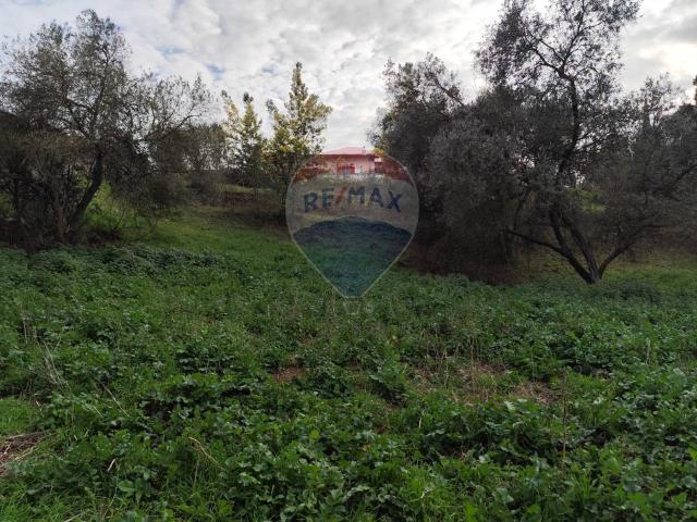 Terreno in vendita a La Cogna, Aprilia