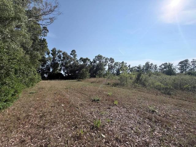 Terreno in vendita a Le Salzare, Aprilia