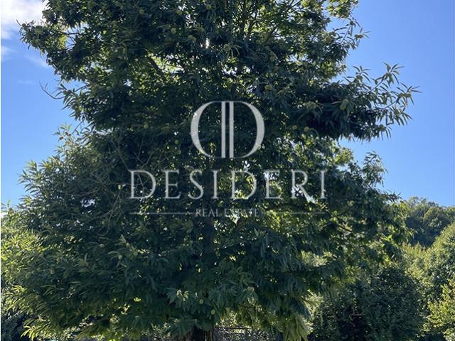 Terreno in vendita a Unione dei Comuni Montani Amiata Grossetana, Arcidosso
