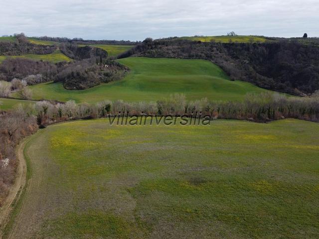 Terreno in vendita a Asciano, Toscana