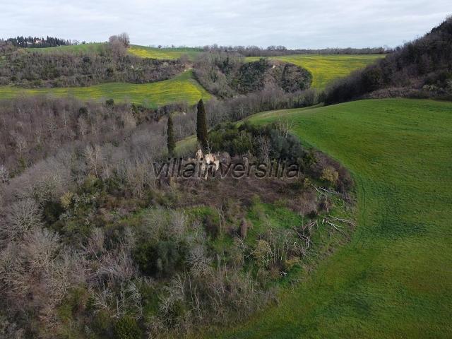 Terreno in vendita a Asciano, Toscana