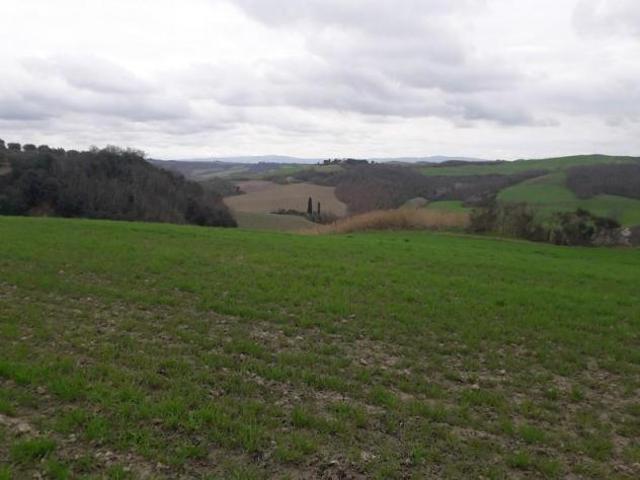 Terreno in vendita a Asciano, Toscana
