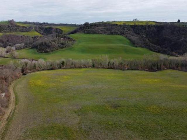 Terreno in vendita a Asciano, Toscana