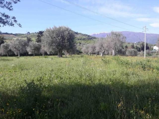 Terreno in vendita a Marche, Ascoli Piceno