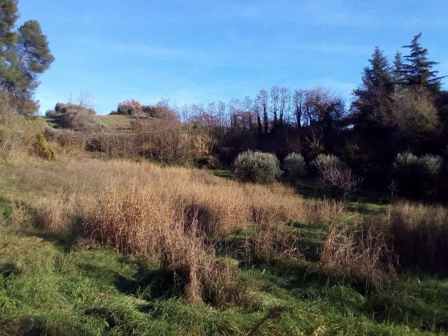 Terreno in vendita a Borgo Chiaro, Marche