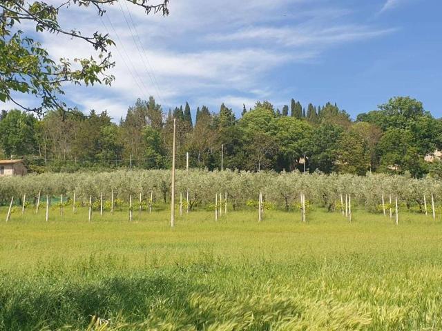 Terreno in vendita a Assisi, Umbria