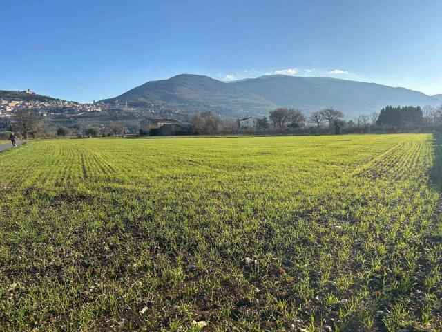 Terreno in vendita a Assisi, Umbria
