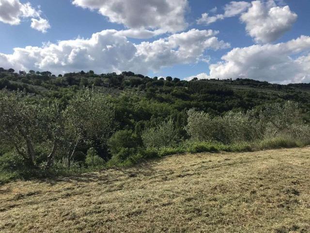 Terreno in vendita a Assisi, Umbria