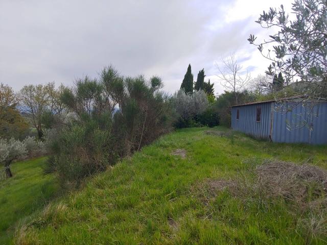 Terreno in vendita a Assisi, Umbria