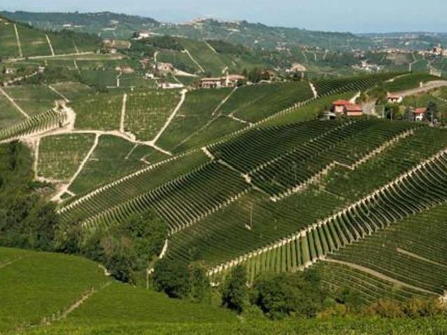 Terreno in vendita a Piemonte, Asti