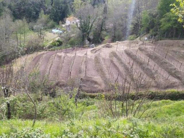 Terreno in vendita a Unione di comuni Montana Lunigiana, Aulla