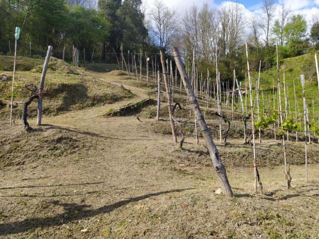 Terreno in vendita a Unione di comuni Montana Lunigiana, Aulla