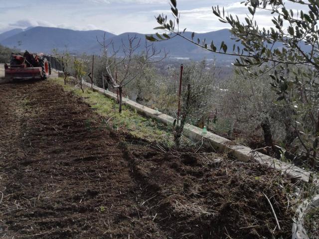Terreno in vendita a Avella, Avellino