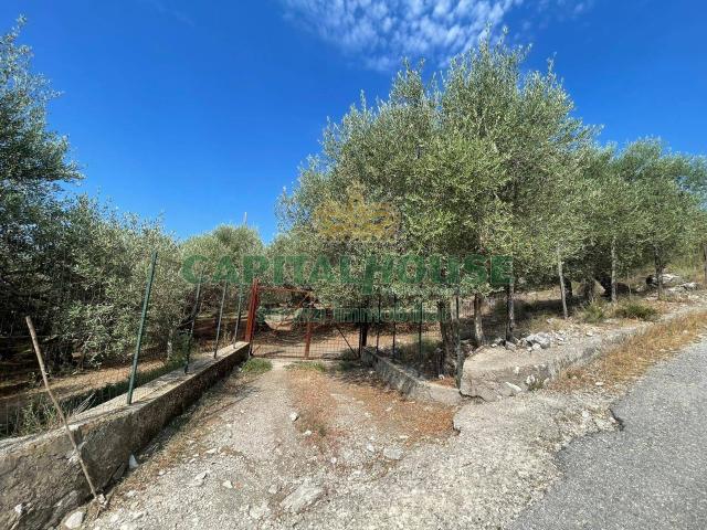 Terreno in vendita a Avella, Campania