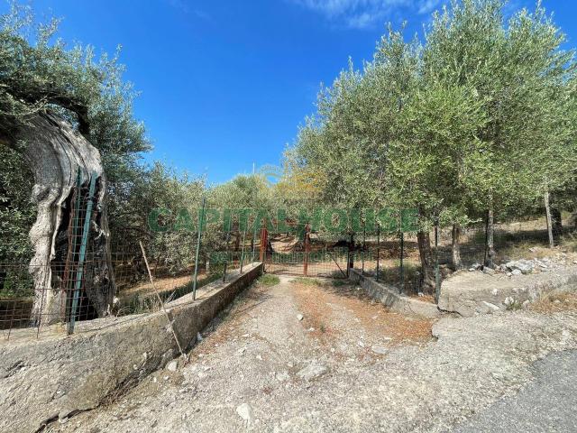 Terreno in vendita a Avella, Campania