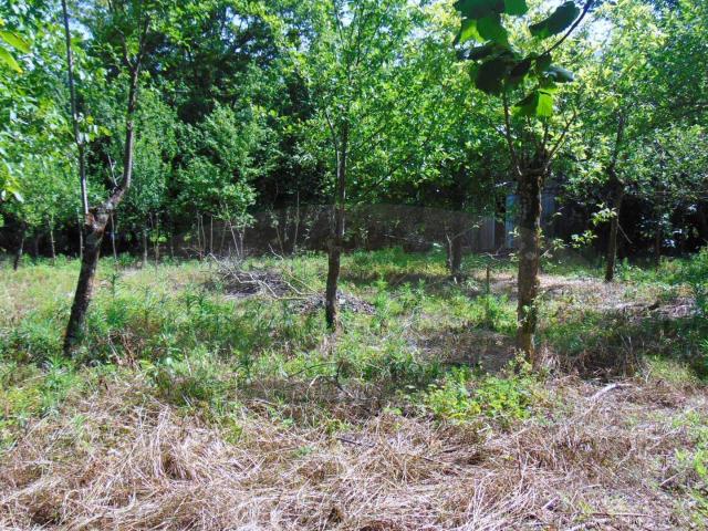 Terreno in vendita a Baiano, Campania