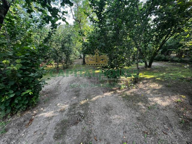 Terreno in vendita a Quadrelle, Campania