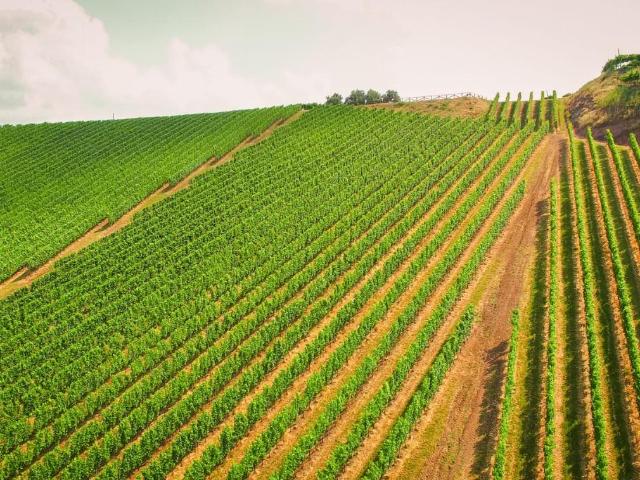 Terreno in vendita a Unione Montana di Comuni delle Valli di Lanzo, Ceronda e Casternone, Piemonte